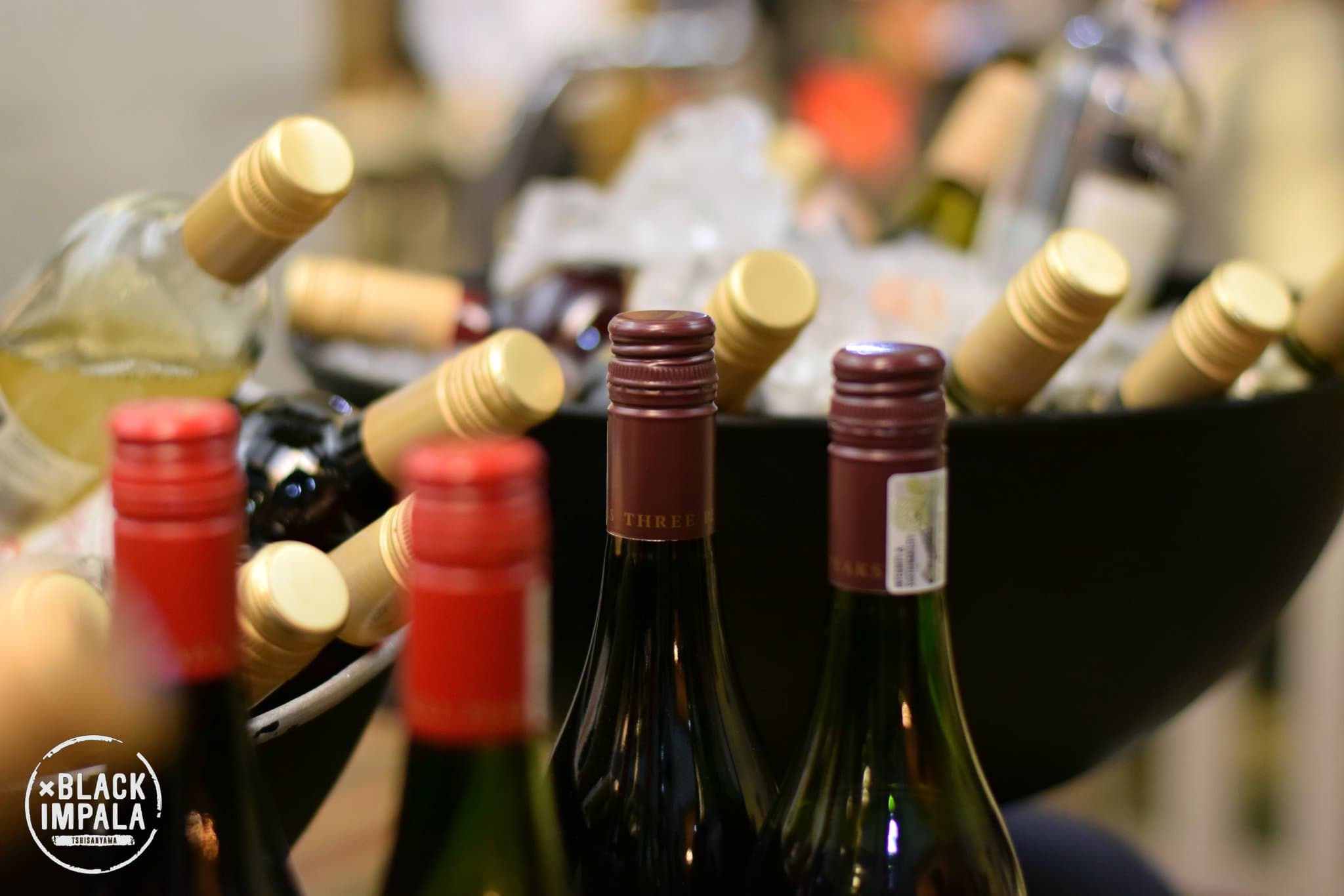 Wine Wednesday